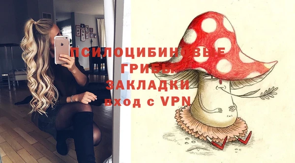 эйфоретик Алзамай