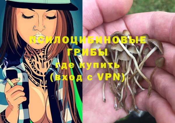 PSILOCYBIN Алексин